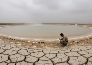 Más de 150 definiciones y ningún acuerdo: lo que la ciencia aún no sabe sobre la sequía 9 Investigador estudiando un embalse casi vacío con tierra agrietada en primer plano bajo un cielo nublado y difuso